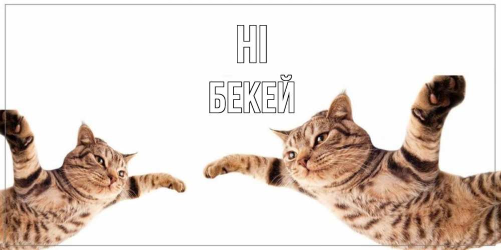 Greetings card с именем, Бекей Hi кот Greetings with text for free download 
