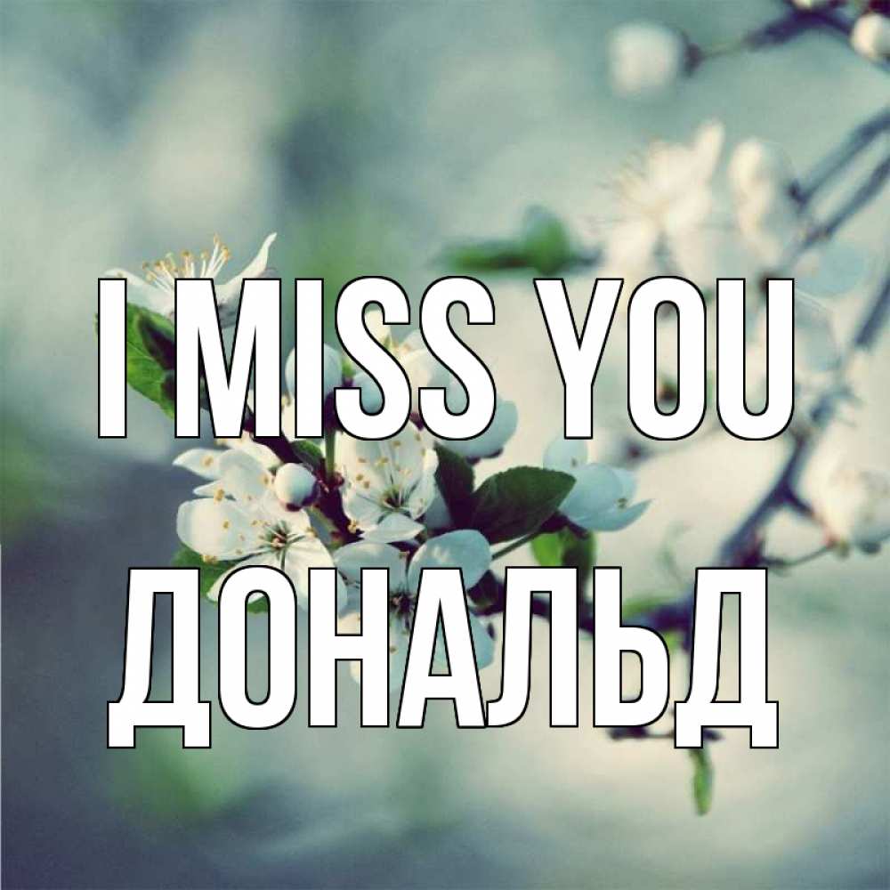 Greetings card с именем, Дональд I miss you весна Greetings with text for free download 