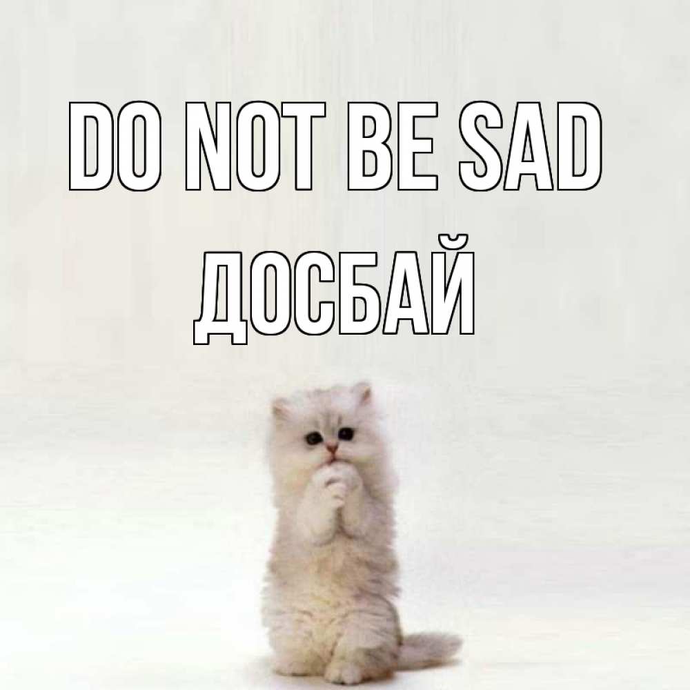 Greetings card с именем, Досбай Do not be sad грустный кот Greetings with text for free download 