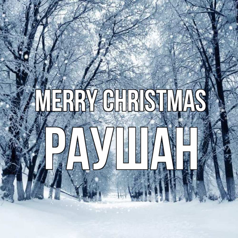 Greetings card с именем, РАУШАН Merry Christmas снег, лес, парк Greetings with text for free download 