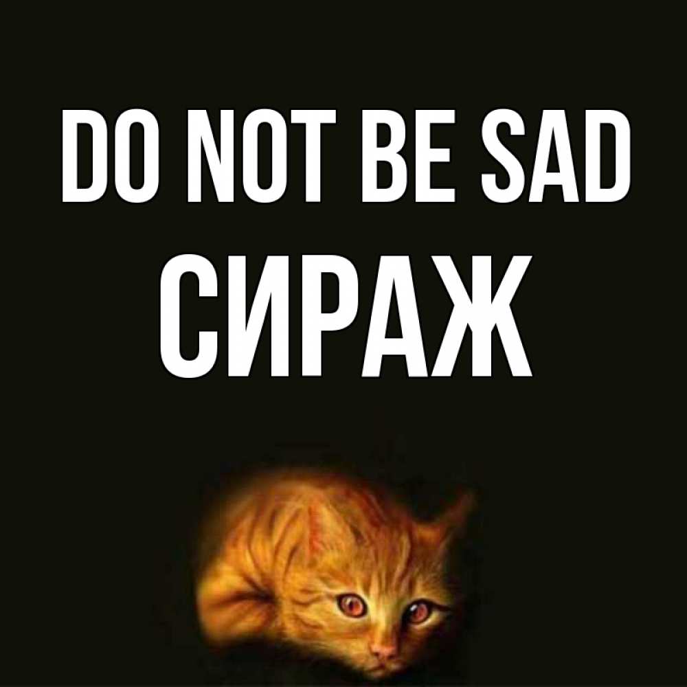 Greetings card с именем, СИРАЖ Do not be sad лежащий кот в темноте Greetings with text for free download 