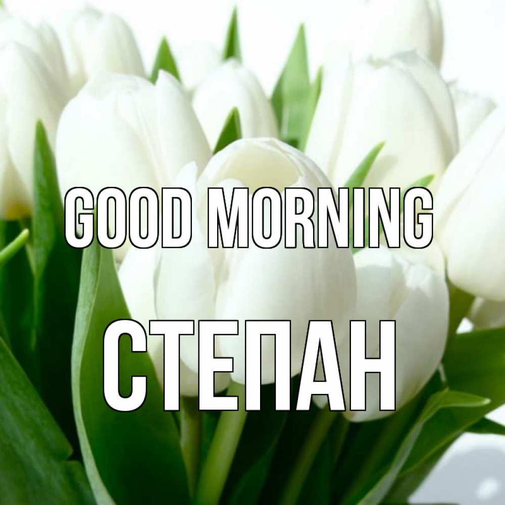 Greetings card с именем, Степан Good morning открытки на каждый день по именам Greetings with text for free download 