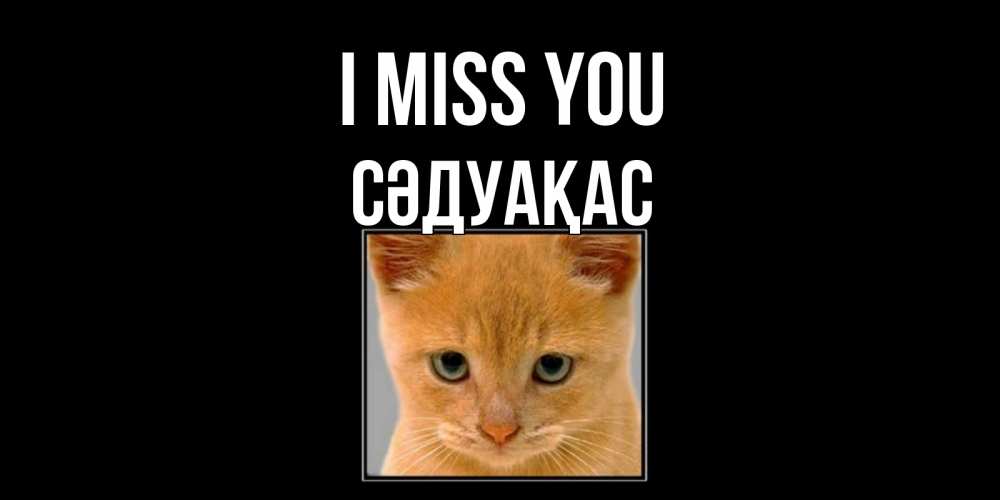 Greetings card с именем, СӘДУАҚАС I miss you открытки рыжий котенок скучает по тебе Greetings with text for free download 