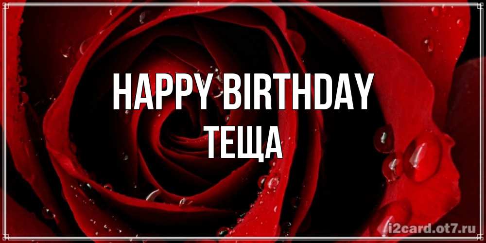Greetings card с именем, Теща Happy Birthday крупная бордовая роза Greetings with text for free download 