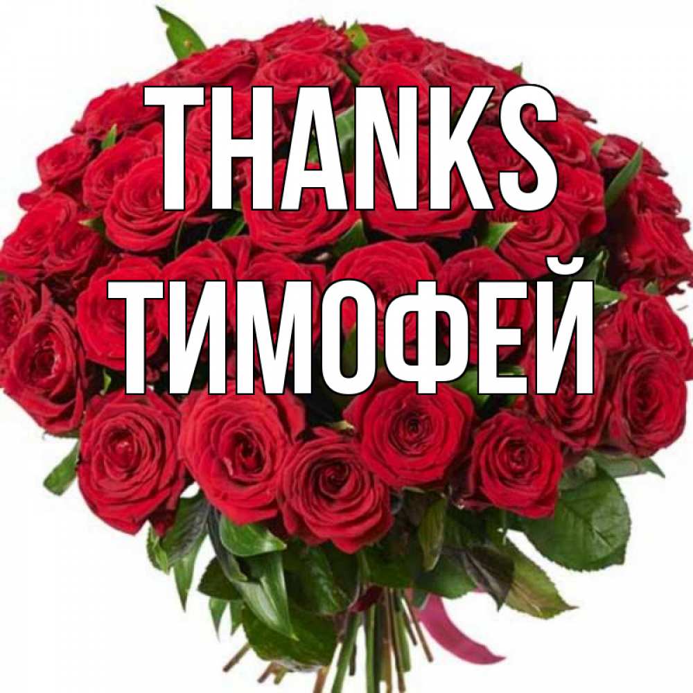Greetings card с именем, Тимофей Thanks букет красных роз Greetings with text for free download 