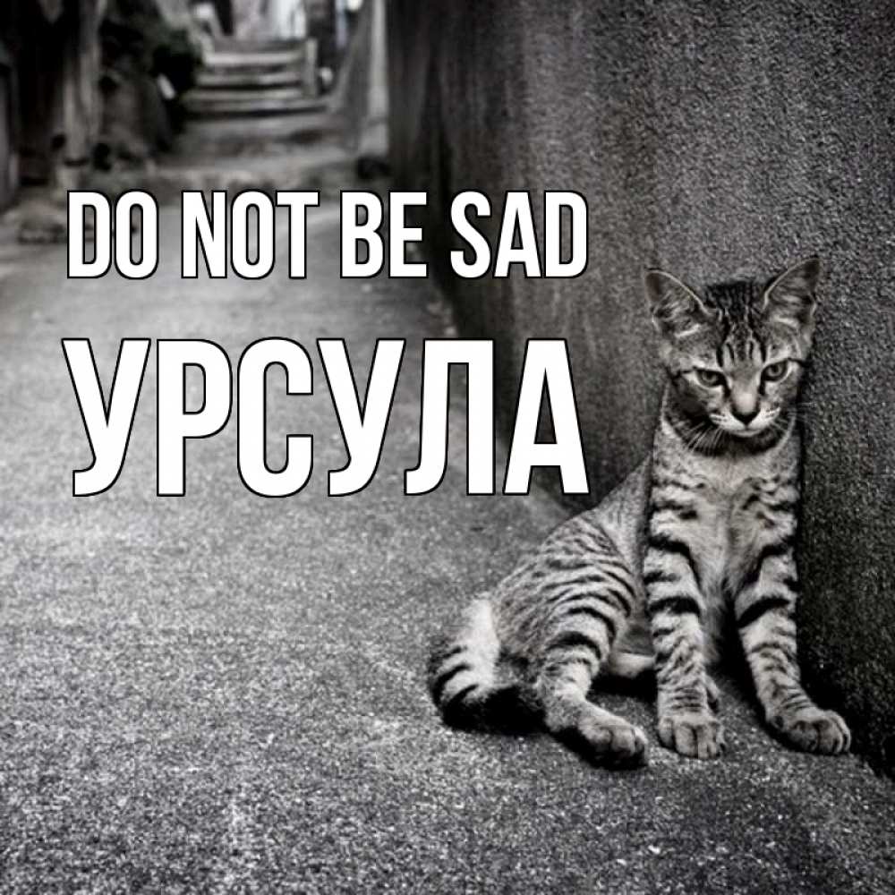 Greetings card с именем, Урсула Do not be sad скучающий котик Greetings with text for free download 
