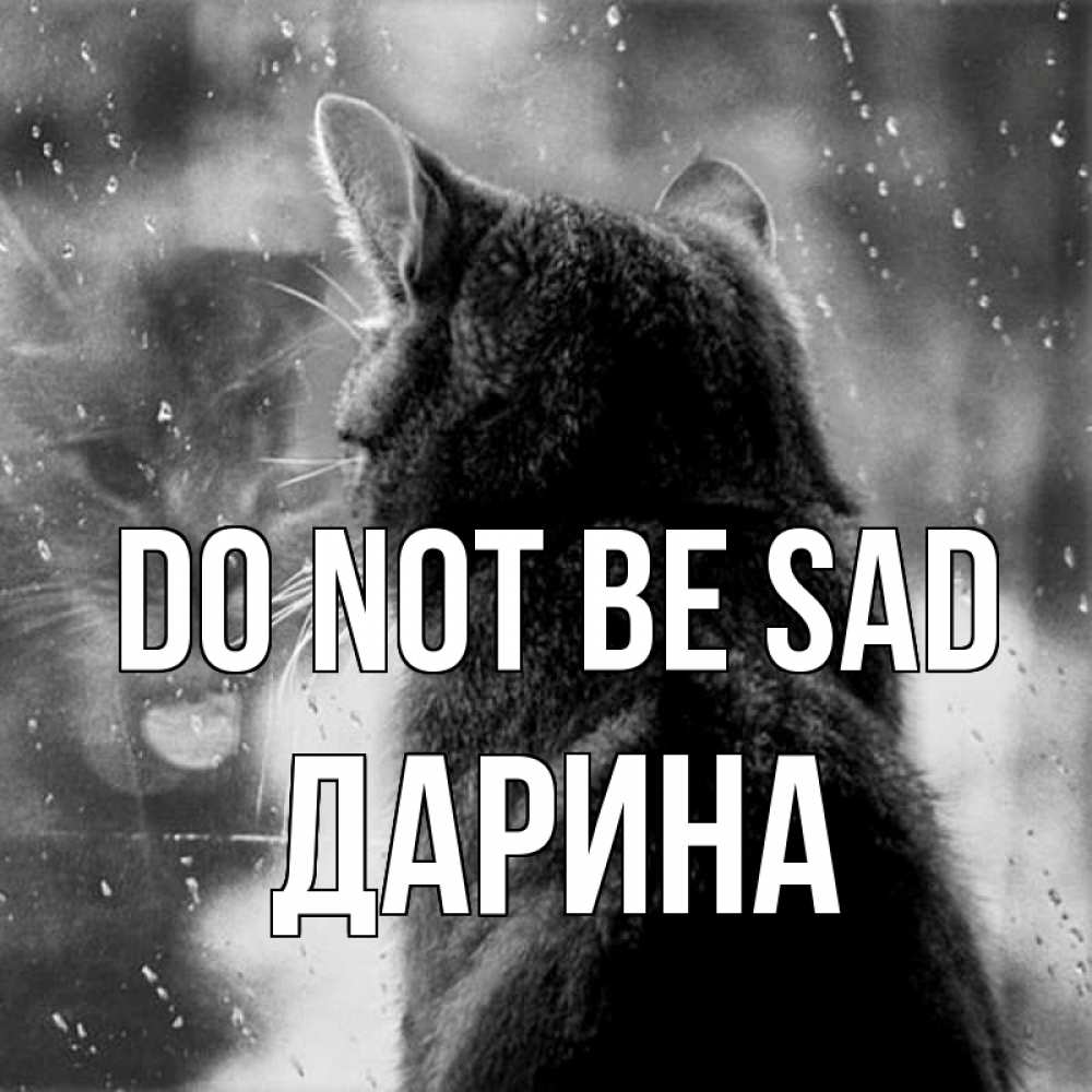 Greetings card с именем, Дарина Do not be sad отражение кота 1 Greetings with text for free download 