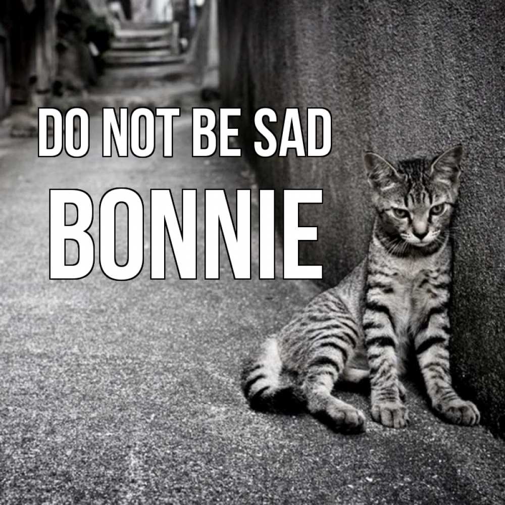 Greetings card с именем, Bonnie Do not be sad скучающий котик Greetings with text for free download 