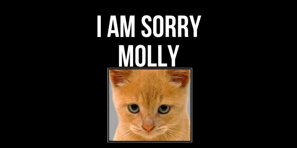 Greetings card с именем, Molly I am sorry рыжий грустный кот просит прощения Greetings with text for free download 