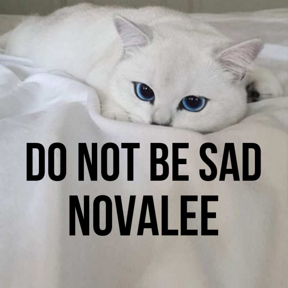 Greetings card с именем, Novalee Do not be sad Голубоглазая кошка Greetings with text for free download 