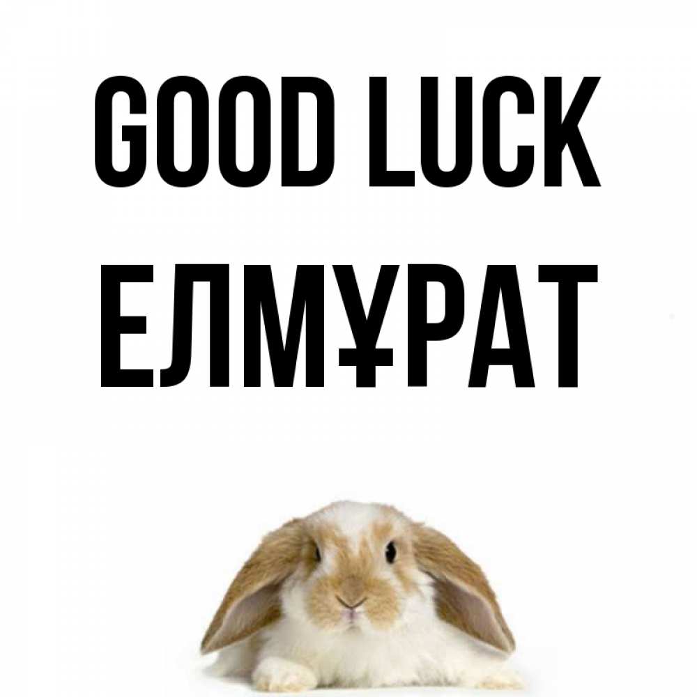 Greetings card с именем, Елмұрат Good luck открытки с произвольным текстом который можно вставить в открытку и создать ее самостоятельно бесплатно онлайн Greetings with text for free download 