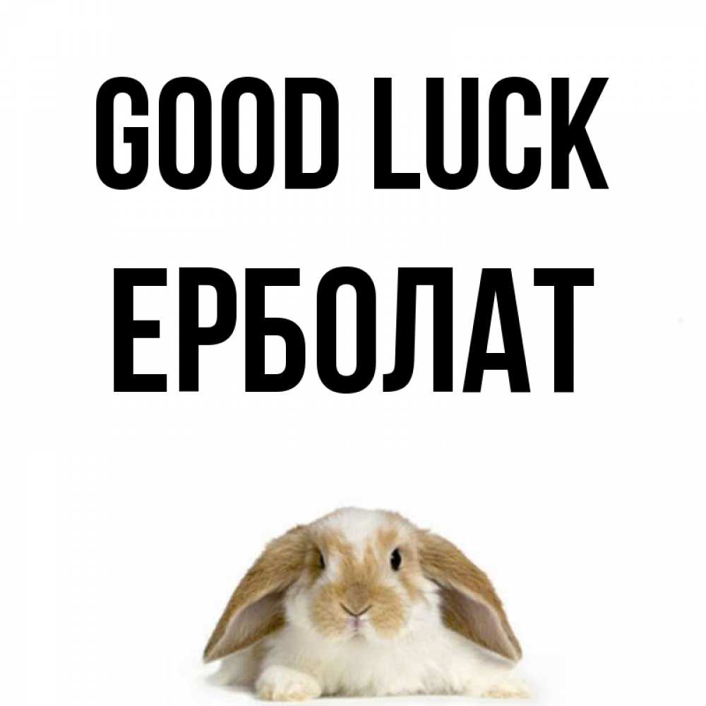 Greetings card с именем, Ерболат Good luck открытки с произвольным текстом который можно вставить в открытку и создать ее самостоятельно бесплатно онлайн Greetings with text for free download 