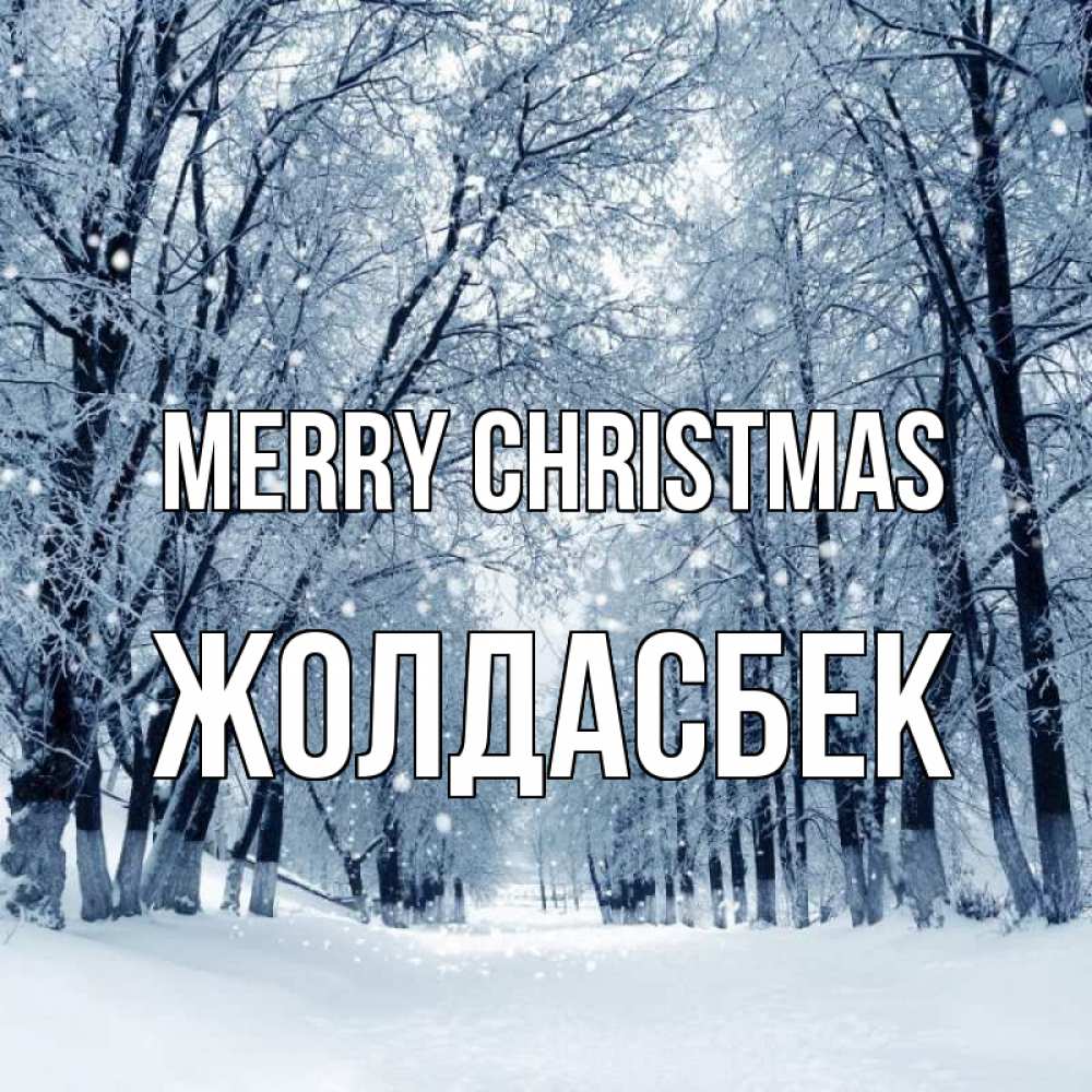 Greetings card с именем, Жолдасбек Merry Christmas снег, лес, парк Greetings with text for free download 
