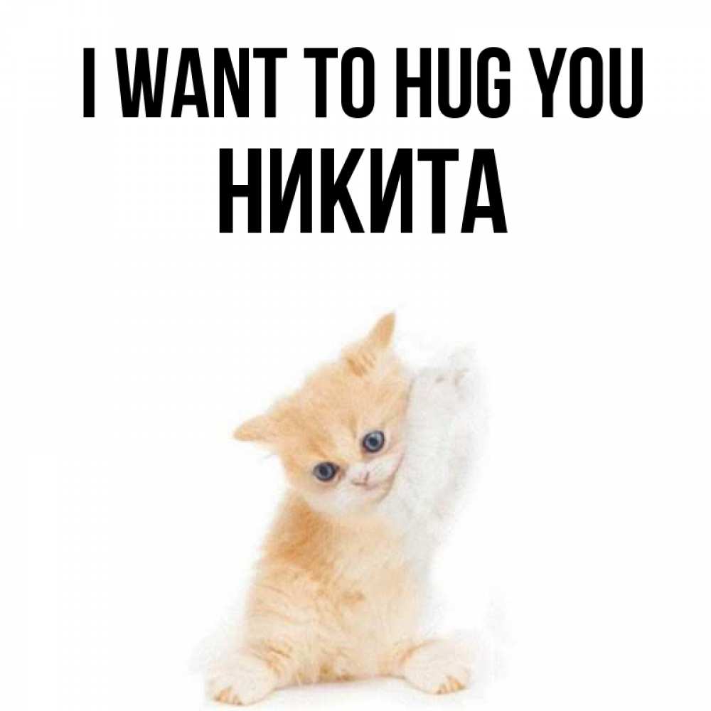 Greetings card с именем, Никита I want to hug you я хочу очень скорее обнимаешек Greetings with text for free download 