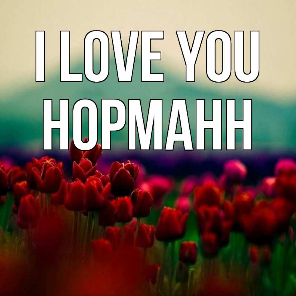 Greetings card с именем, Норманн I love you тюльпаны 4 Greetings with text for free download 