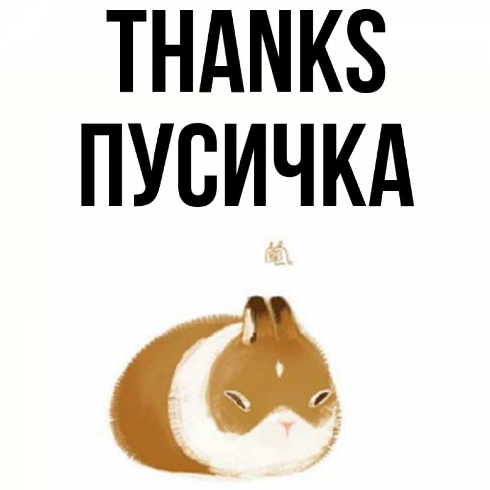 Greetings card с именем, Пусичка Thanks коричнево белый домашний питомец Greetings with text for free download 