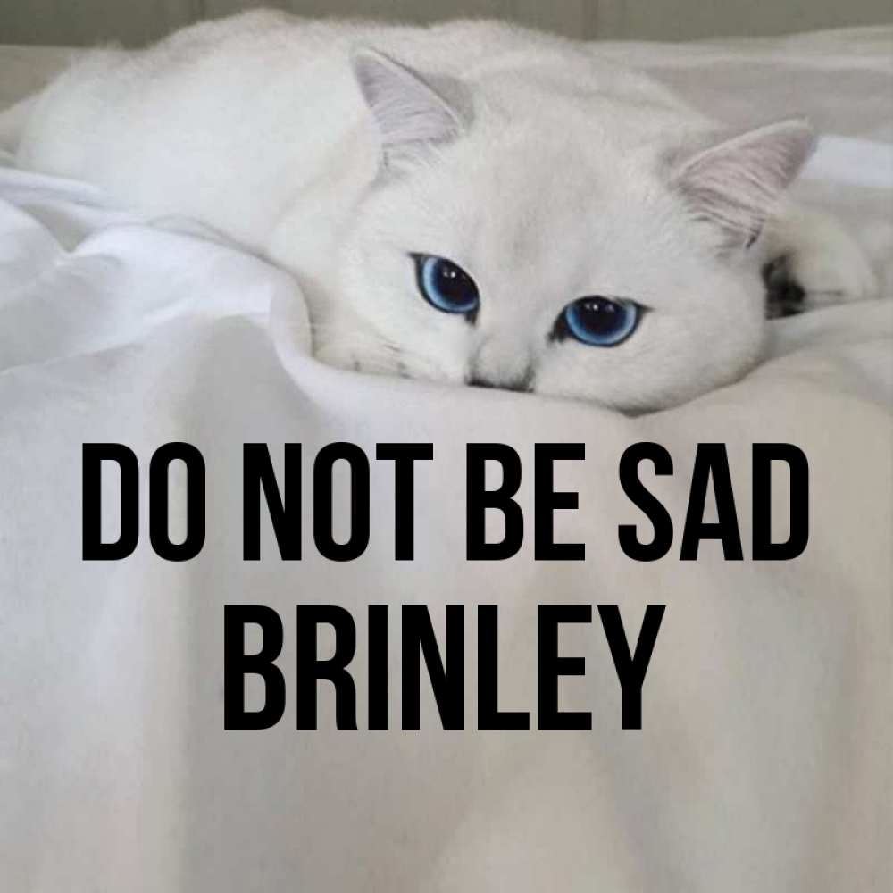 Greetings card с именем, Brinley Do not be sad Голубоглазая кошка Greetings with text for free download 