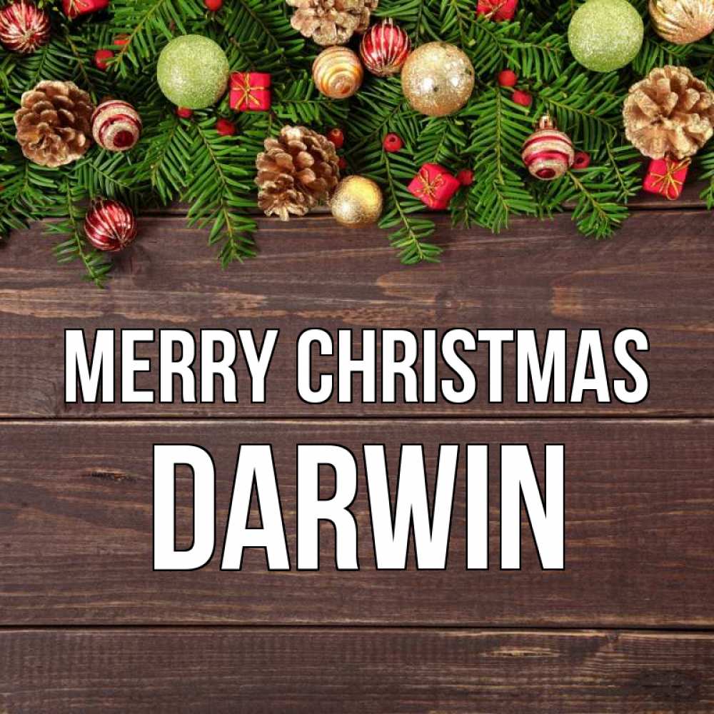 Greetings card с именем, Darwin Merry Christmas с рождеством Greetings with text for free download 