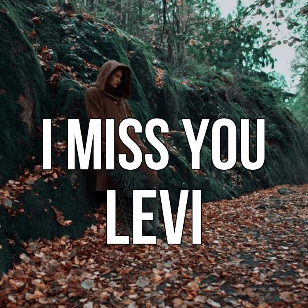 Greetings card с именем, Levi I miss you скука 1 Greetings with text for free download 