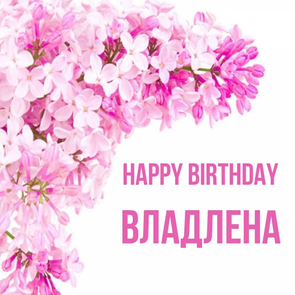 Greetings card с именем, Владлена Happy Birthday Сирень на белом фоне Greetings with text for free download 