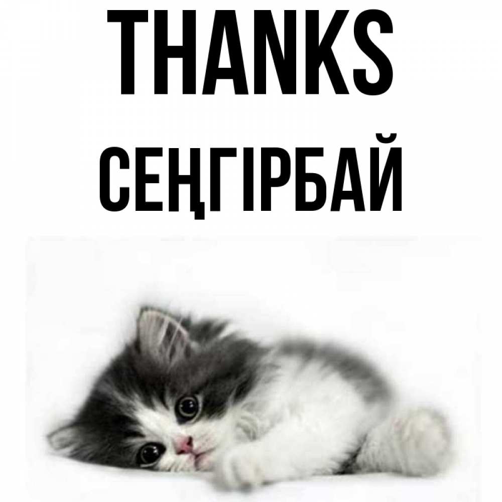 Greetings card с именем, СЕҢГІРБАЙ Thanks черный и белый кот Greetings with text for free download 