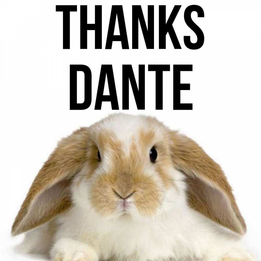 Greetings card с именем, Dante Thanks коричнево белый заяц Greetings with text for free download 