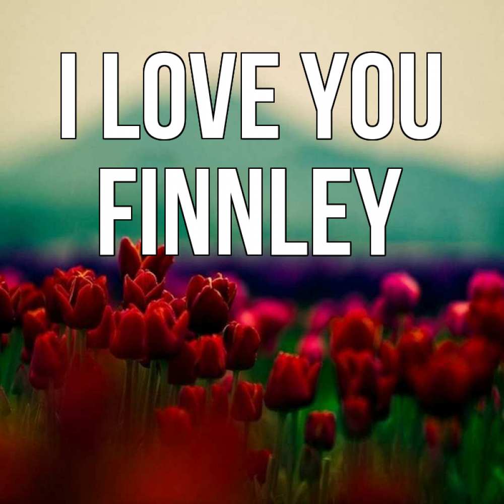Greetings card с именем, Finnley I love you тюльпаны 4 Greetings with text for free download 