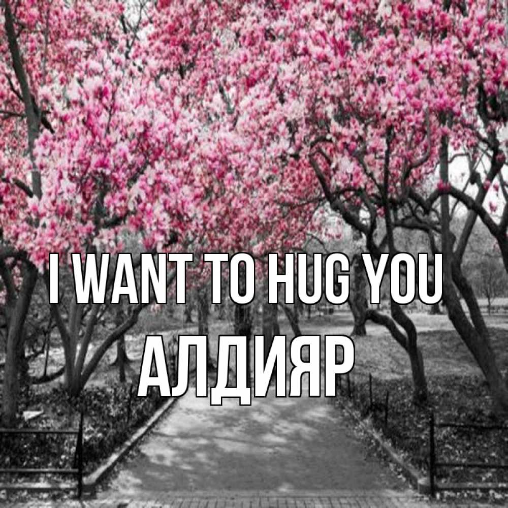 Greetings card с именем, Алдияр I want to hug you обработанное фото Greetings with text for free download 