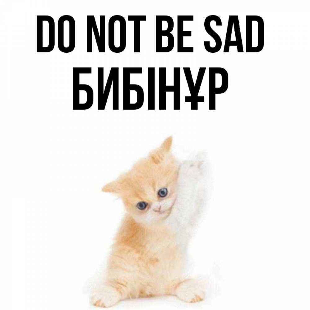 Greetings card с именем, БИБІНҰР Do not be sad просящий кот Greetings with text for free download 