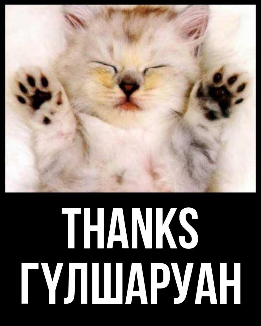 Greetings card с именем, ГҮЛШАРУАН Thanks маленький котенок Greetings with text for free download 