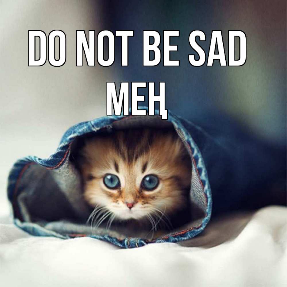Greetings card с именем, МЕҢ Do not be sad рыжик котик Greetings with text for free download 