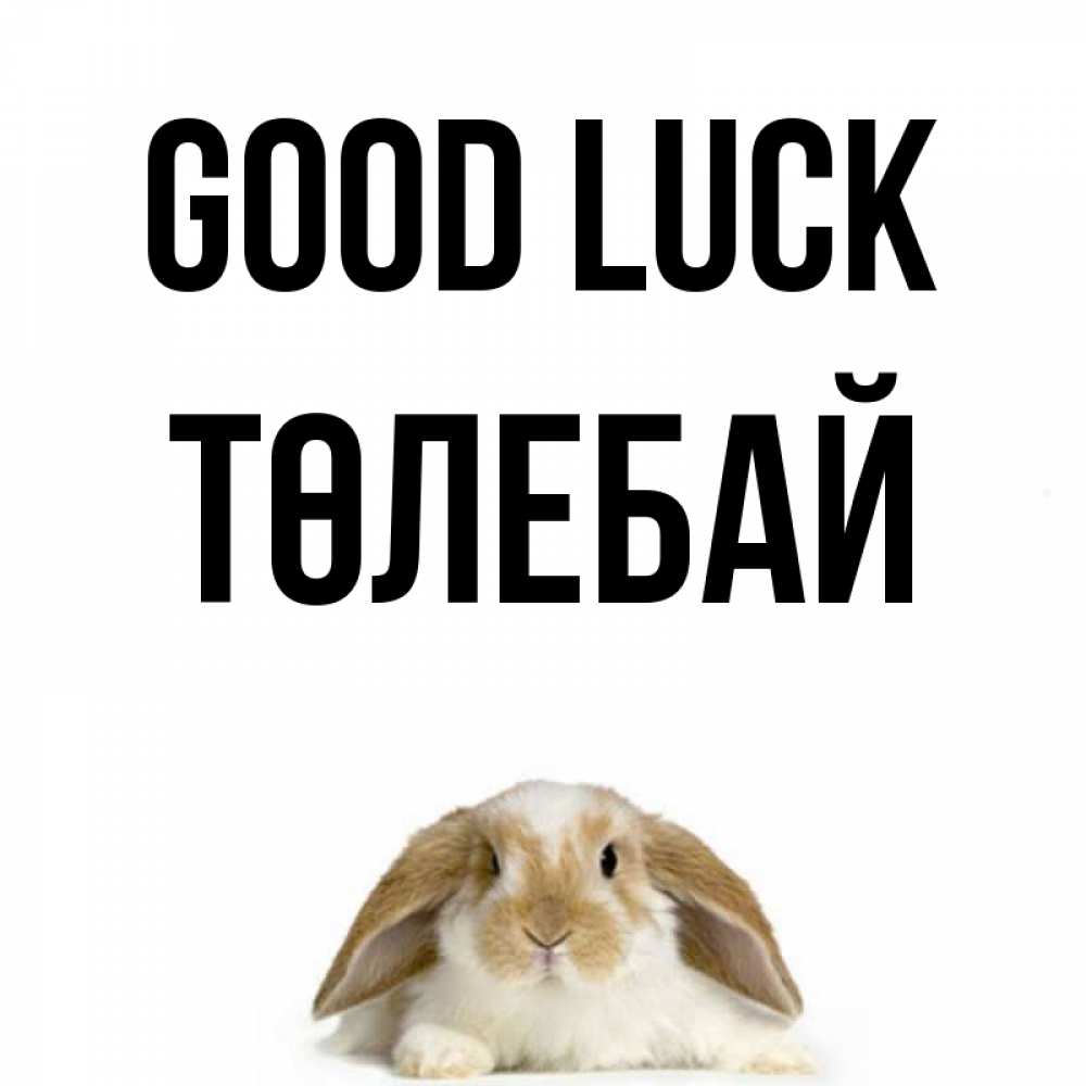 Greetings card с именем, ТӨЛЕБАЙ Good luck открытки с произвольным текстом который можно вставить в открытку и создать ее самостоятельно бесплатно онлайн Greetings with text for free download 