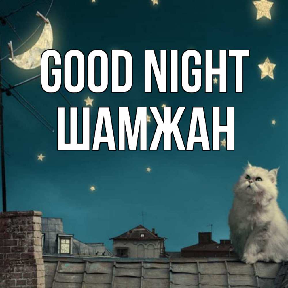 Greetings card с именем, ШАМЖАН Good night белый кот сидит на крыше Greetings with text for free download 