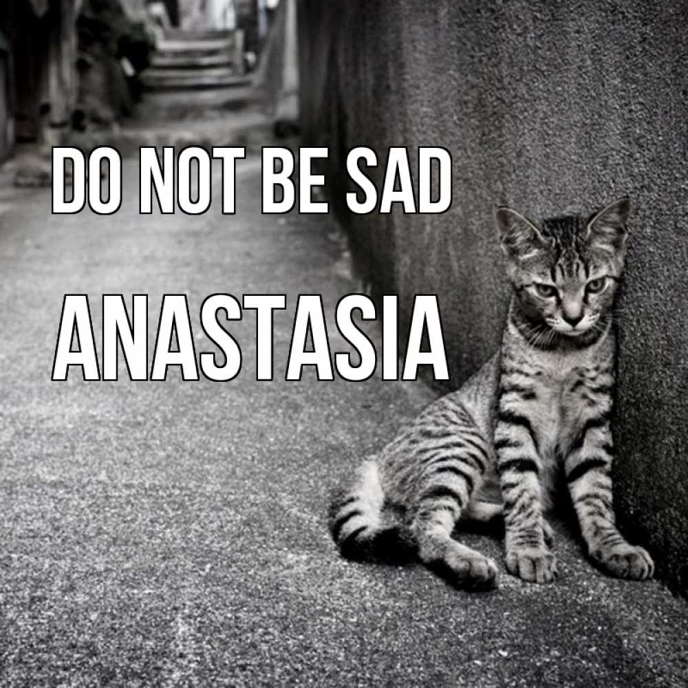Greetings card с именем, Anastasia Do not be sad скучающий котик Greetings with text for free download 