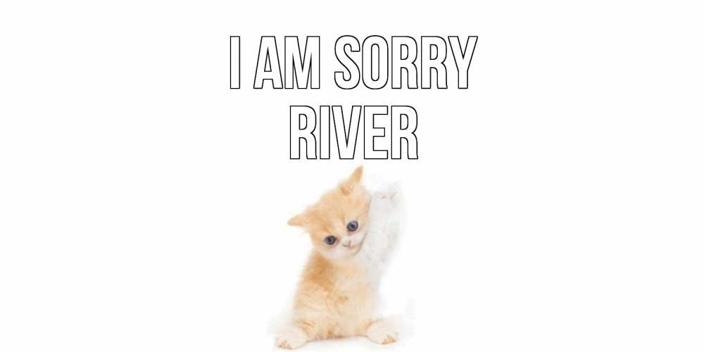 Greetings card с именем, River I am sorry кот Greetings with text for free download 