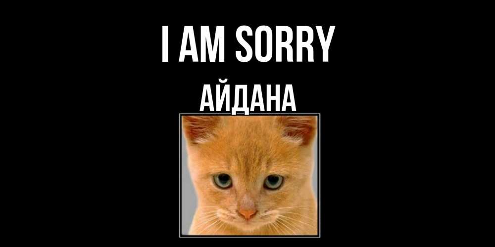 Greetings card с именем, АЙДАНА I am sorry рыжий грустный кот просит прощения Greetings with text for free download 