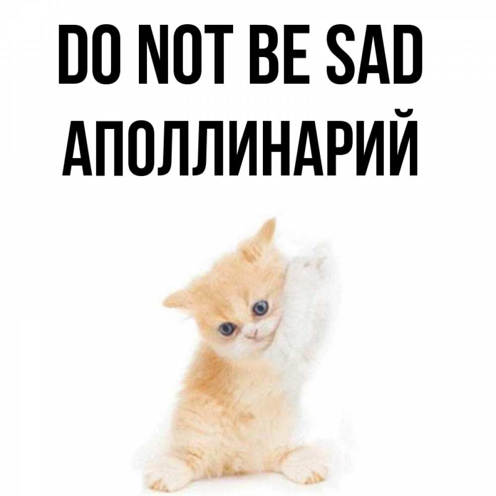 Greetings card с именем, Аполлинарий Do not be sad просящий кот Greetings with text for free download 