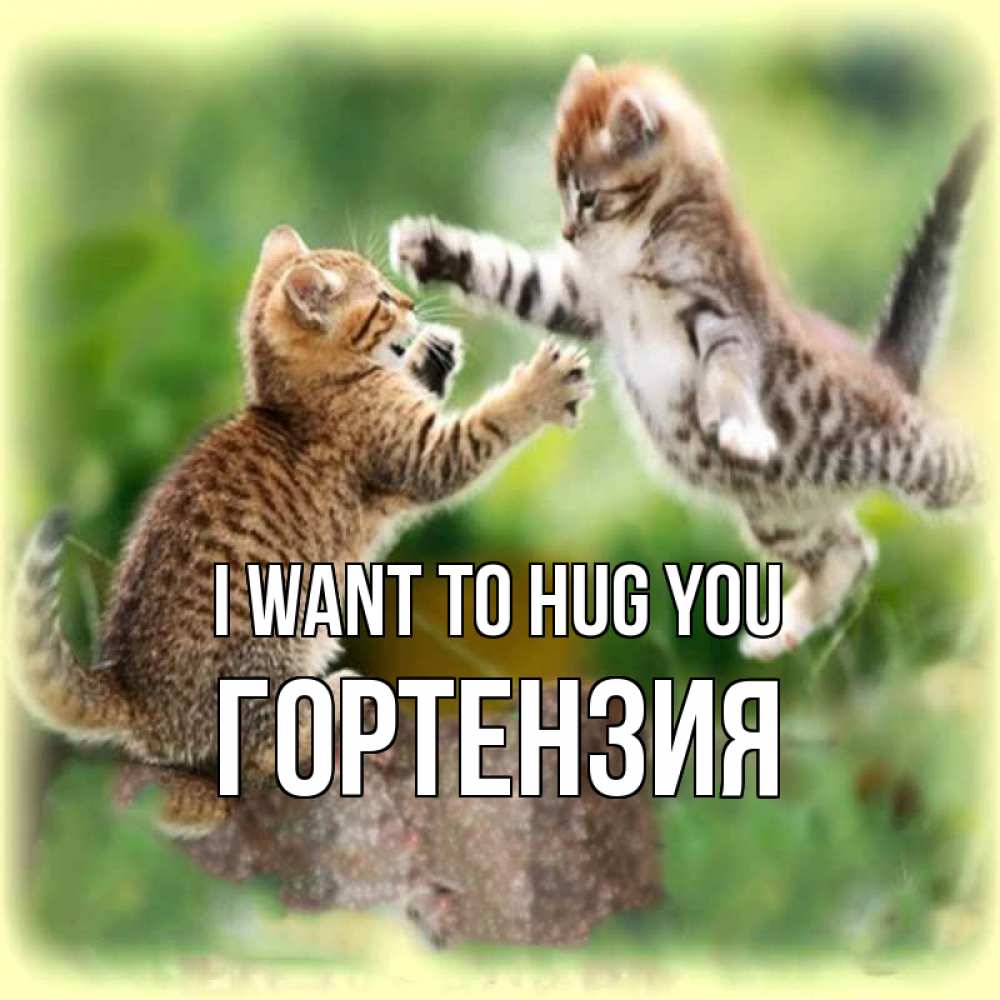 Greetings card с именем, Гортензия I want to hug you игры котят Greetings with text for free download 
