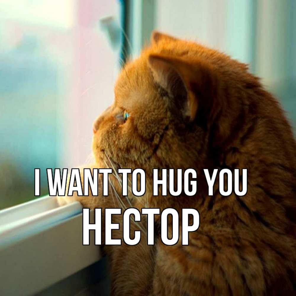 Greetings card с именем, Нестор I want to hug you большой огромный рыжий котяра Greetings with text for free download 