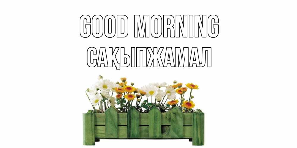 Greetings card с именем, САҚЫПЖАМАЛ Good morning цветы Greetings with text for free download 
