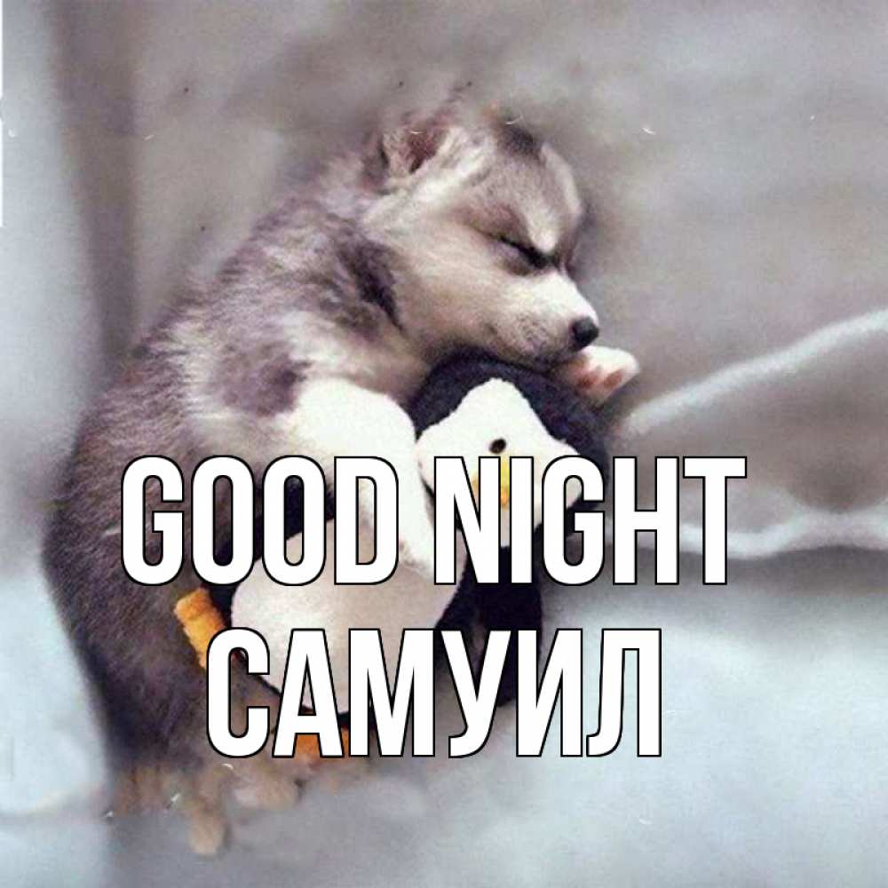 Greetings card с именем, Самуил Good night обнимашки щенка и пингвина Greetings with text for free download 
