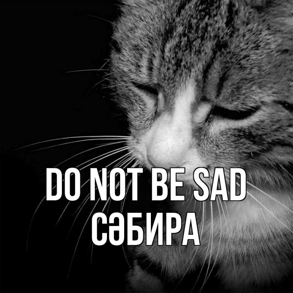 Greetings card с именем, СӘБИРА Do not be sad грустный котик Greetings with text for free download 