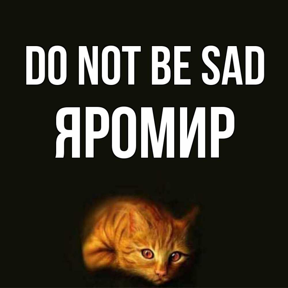 Greetings card с именем, Яромир Do not be sad лежащий кот в темноте Greetings with text for free download 