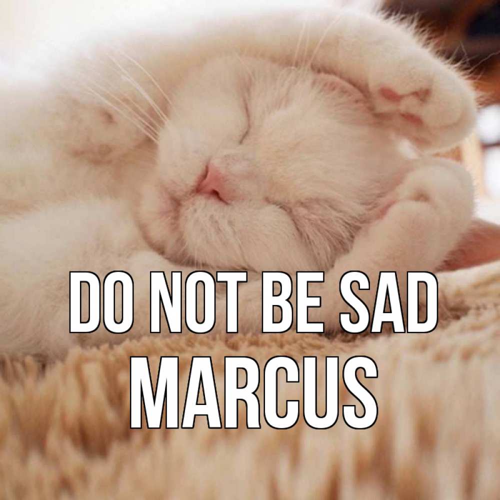 Greetings card с именем, Marcus Do not be sad белый кот Greetings with text for free download 