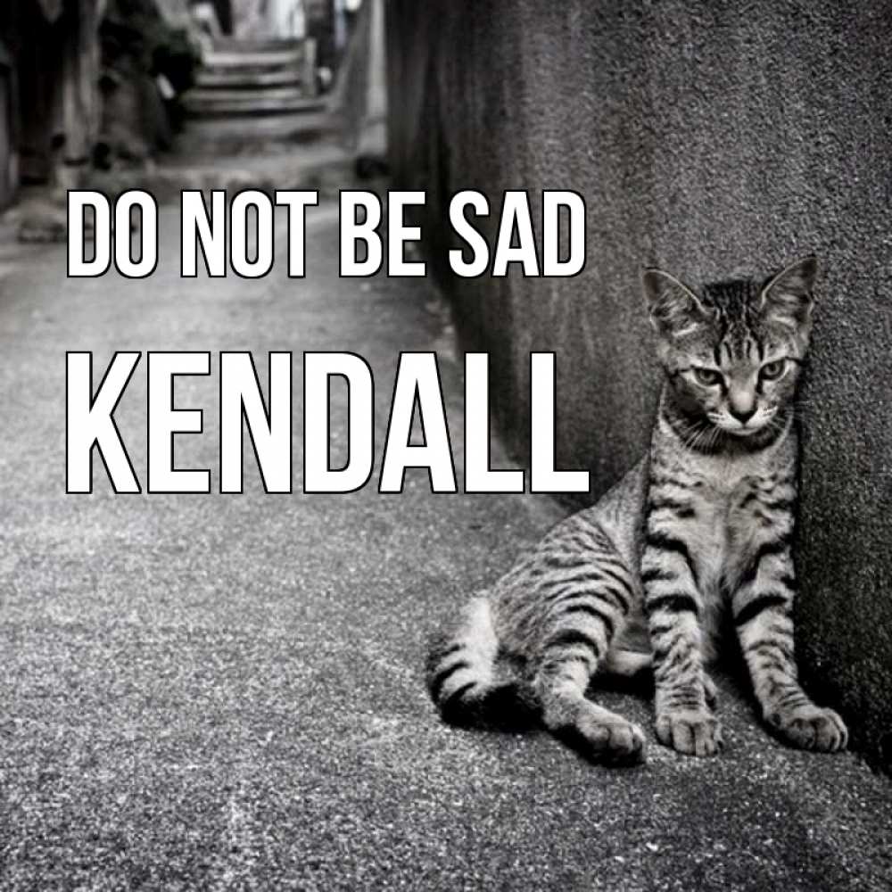Greetings card с именем, Kendall Do not be sad скучающий котик Greetings with text for free download 