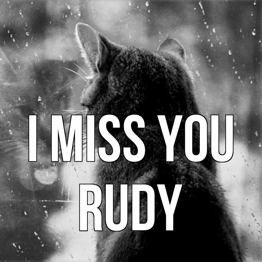 Greetings card с именем, Rudy I miss you скорее ко мне приходи 1 Greetings with text for free download 