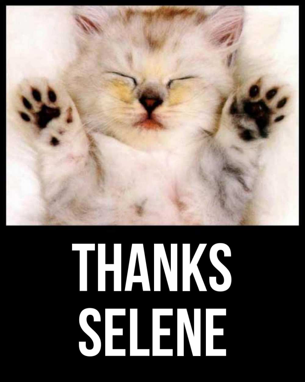 Greetings card с именем, Selene Thanks маленький котенок Greetings with text for free download 