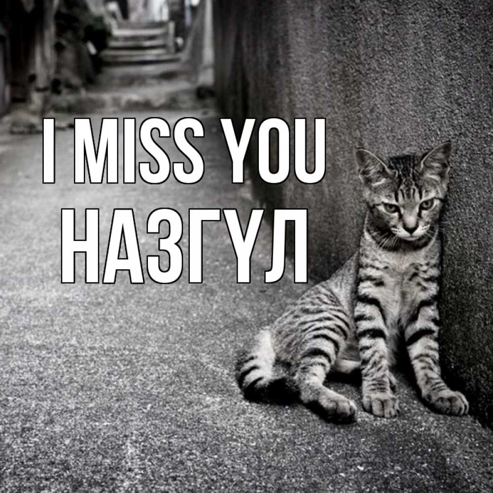 Greetings card с именем, НАЗГҮЛ I miss you одиноко котику Greetings with text for free download 
