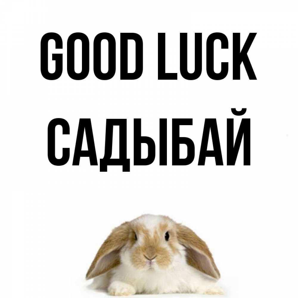 Greetings card с именем, САДЫБАЙ Good luck открытки с произвольным текстом который можно вставить в открытку и создать ее самостоятельно бесплатно онлайн Greetings with text for free download 