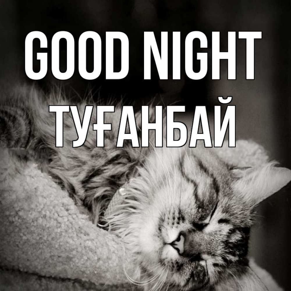 Greetings card с именем, ТУҒАНБАЙ Good night котярик пушистый Greetings with text for free download 